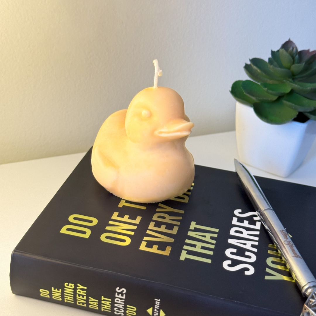 A cheerful guide for smooth transitions 
and new adventures.
