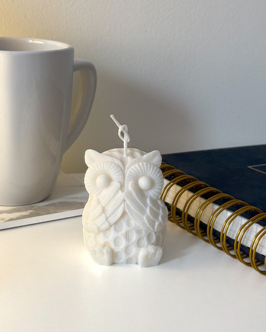 Your wise companion for quiet focus and late-night thoughts.

